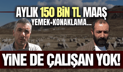 Üretici isyan etti: Aylık 150 bin TL'ye çalışan yok!