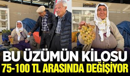 Koçak üzümü tezgahlarda!