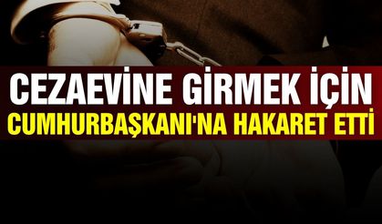 Cezaevine girmek için Cumhurbaşkanı'na hakaret etti