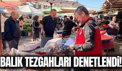 Manisa'da balık satış noktalarında gıda denetimi!
