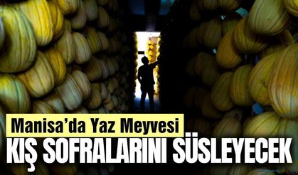 Yazın hasat ediliyor, kışın da sofraları süslüyor