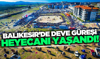 Balıkesir'de 1720 devenin katıldığı müsabakalar nefesleri kesti!