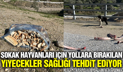 Hayvanseverlik iyi niyetle başladı, ancak güvenlik sorunları ortaya çıktı