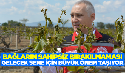 Bağları sahipsiz bırakmayın