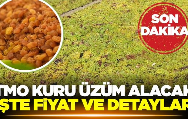 TMO'dan beklenen kuru üzüm açıklaması geldi!