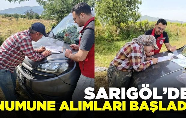 Sarıgöl’de taze asma yaprakları mercek altında!