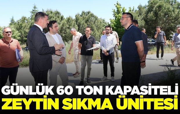 Kula'ya büyük yatırım: 1 günde tonlarca zeytin işleyecek