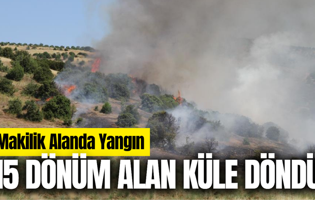 Manisa'da 15 dönüm alan küle döndü