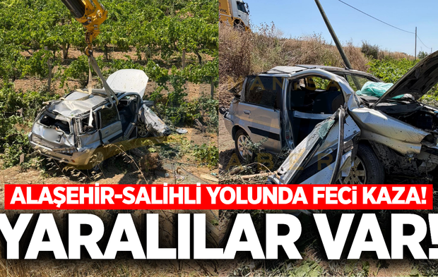 Alaşehir- Salihli yolunda otomobil üzüm bağına devrildi!