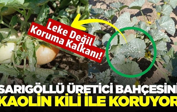 Sarıgöllü üreticiden kavurucu sıcaklara karşı doğal koruma yöntemi
