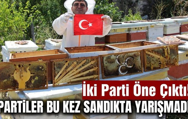 Arıların “siyasi seçimi” sonuçlandı: Peteklerde hangi parti öne çıktı?