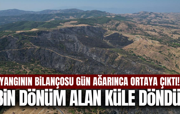 Manisa'nın ciğeri yandı: Bin dönüm alan küle döndü!