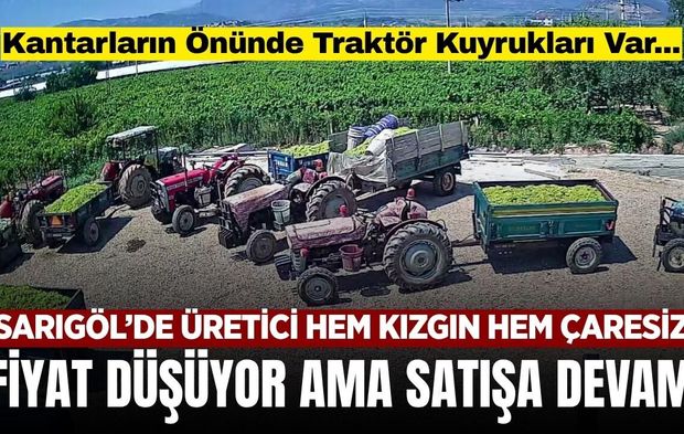 Sarıgöl'de ıskarta üzümde fiyat 10 TL! Kantarlarda kuyruk var