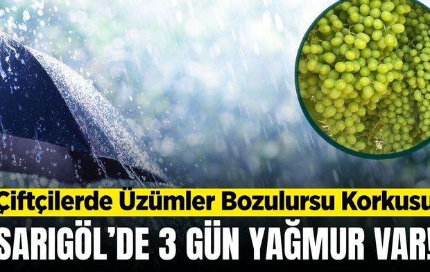 Sarıgöl'de tahminler 3 gün yağmur var diyor! Çiftçi hem sevinçli hem de tedirgin