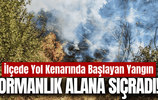 İlçede korkutan yangın: Ekipler seferber oldu!