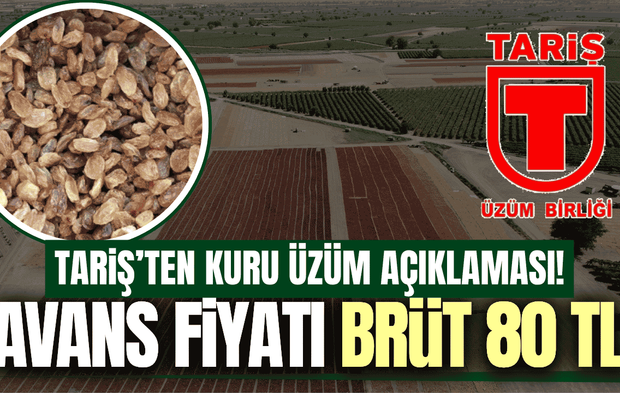 TARİŞ Üzüm Birliği 2026 Sezonu Kuru Üzüm Alım Esaslarını Açıkladı: Avans Fiyatı Brüt 80 TL!