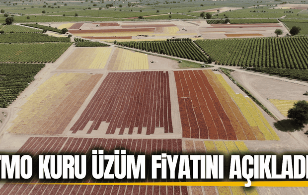 TMO kuru üzüm alım fiyatını açıkladı