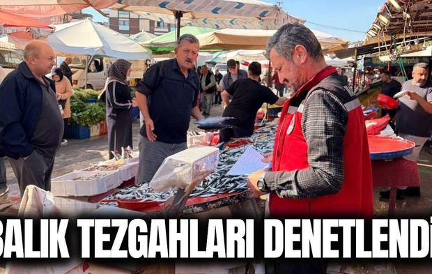 Manisa'da balık satış noktalarında gıda denetimi!