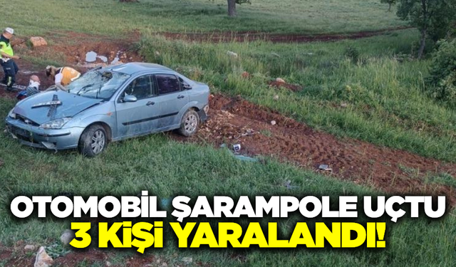 Balıkesir'de şarampole uçan otomobildeki 3 kişi yaralandı