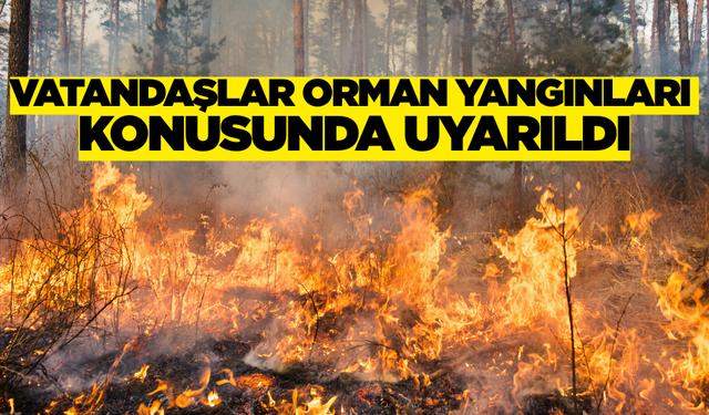 Bayat Kaymakamlığı'ndan vatandaşlara uyarı: "Ormanlarımıza Sahip Çıkalım"