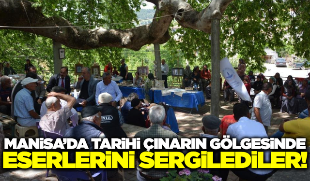 Manisa'da 2 bin yıllık çınar gölgesinde el emeği göz nuru ürünler sergilendi