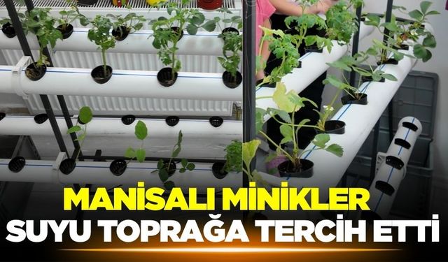 Manisa'da hidroponik tarımla ürün yetiştiriyor