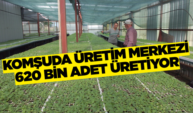 Manisa'nın komşusunda üretiliyor! Merkez haline geldi