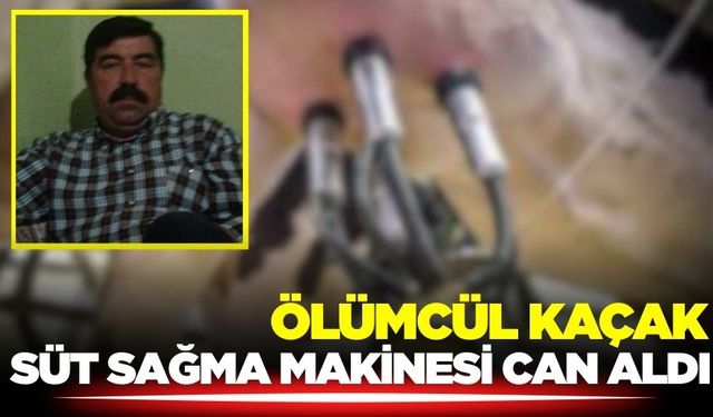 Süt sağım makinesi faciaya yol açtı