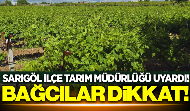 Sarıgöl İlçe Tarım ve Orman Müdürlüğü, bağcıları uyardı!