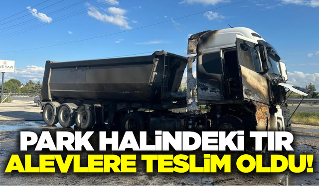 Uşak'ta park halindeki tır alev alev yandı