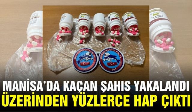 Manisa'da Yunuslardan nefes kesen takip