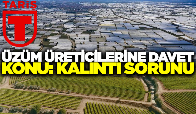 Tariş'ten Üzüm üreticileri davet! Kalıntı sorunu masaya yatırılacak