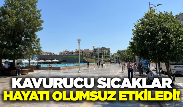 Aydın'da kavurucu sıcaklar hayatı olumsuz etkiledi!