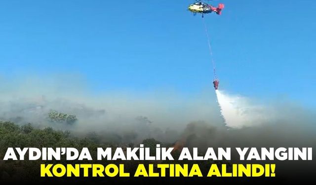 Aydın'da yangın alarmı!