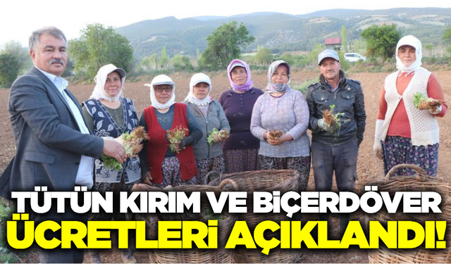 Beyağaç’ta tütün kırım ve biçerdöver ücretleri açıklandı!