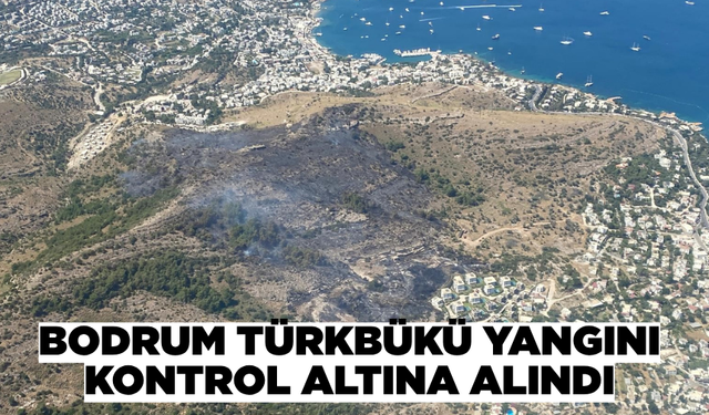 Bodrum'daki makilik alanda çıkan yangın kontrol altına alındı