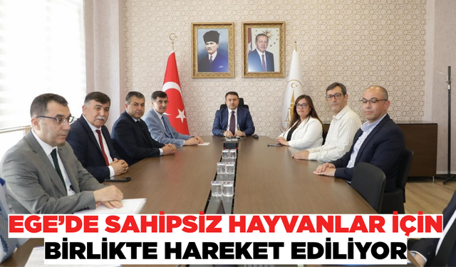 Kütahya'da sahipsiz hayvanlar için ortak toplantı