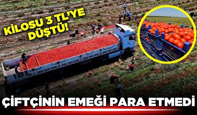 "Çiftçi bu sene hiçbir üründen para kazanamadı, DFİF desteği istiyoruz"