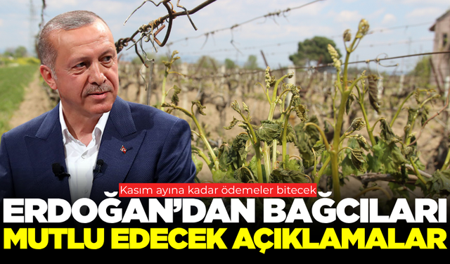 Cumhurbaşkanı Erdoğan'dan zirai don açıklaması