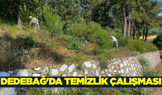 Dedebağ Türbesi ve Mesire Alanı’nda temizlik çalışması