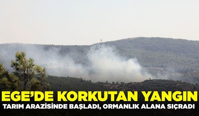 Ege'de korkutan yangın