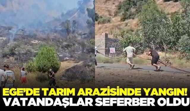 Ege'de tarım arazisinde yangın paniği!
