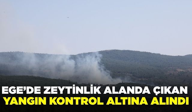 Ege'de çıkan yangın kontrol altına alındı
