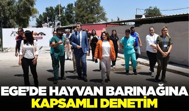 Ege'de sokak hayvanları unutulmadı