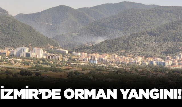 İzmir Narlıdere’de orman yangını