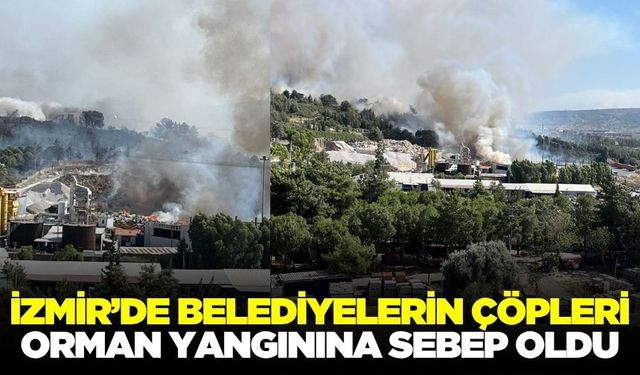 Ege'de belediyelerin çöpleri orman yangınına neden oldu