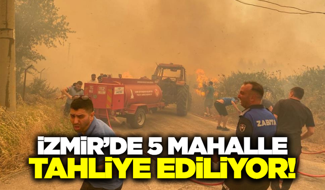 İzmir'de orman yangını: 5 mahalle tahliye ediliyor!