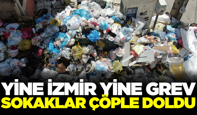 İzmir'de vatandaşlar kötü koku ve hastalık riski nedeniyle tepkili