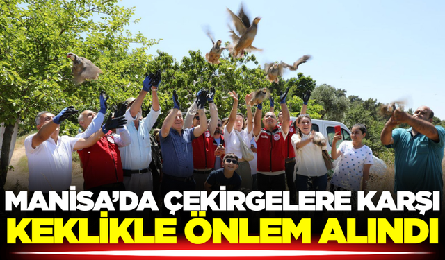 Manisa’da çekirge zararlısına karşı önlem alındı