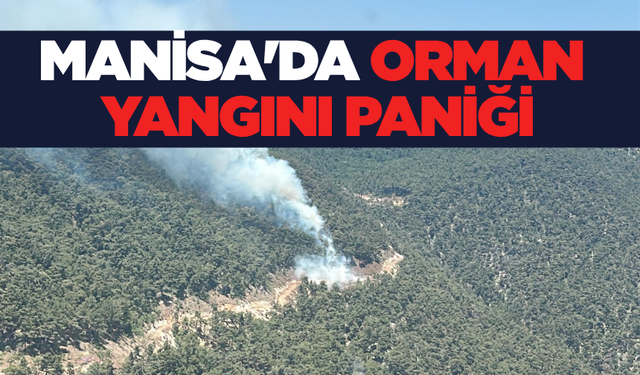 Manisa’da Ormanda Yangın! Hava ve Kara Güçleri Seferber Edildi